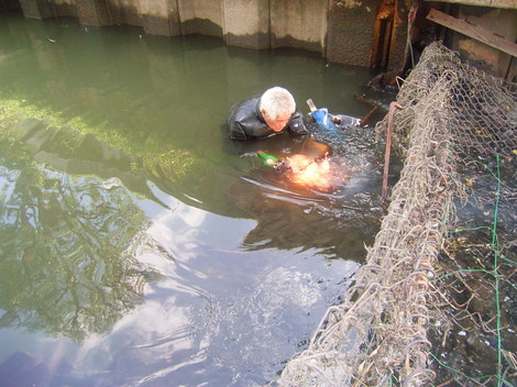 河川維持修繕工事（たがい橋落差工改築工）