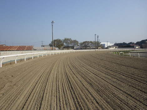 埼玉県浦和競馬組合 野田きゅう舎走路ラチ改修工事