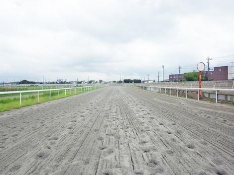 埼玉県浦和競馬組合 野田きゅう舎第２走路ラチ改修工事