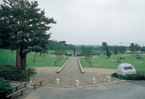 見沼氷川公園　造成工事