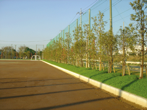 京華学園グラウンド整備工事