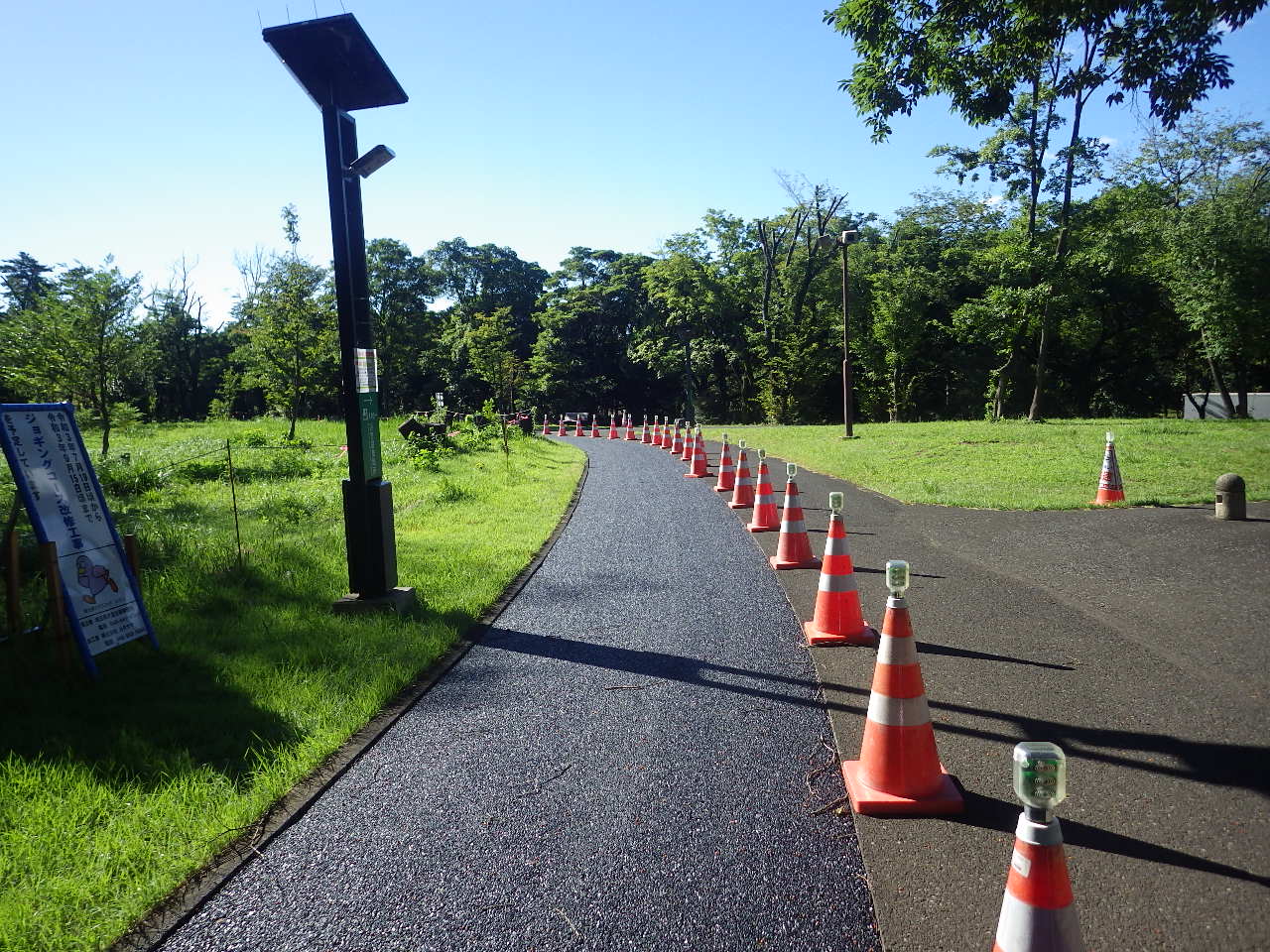 総合交付金（公園）工事（和光樹林公園ジョギングコース改修工その２）　アスファルト舗装