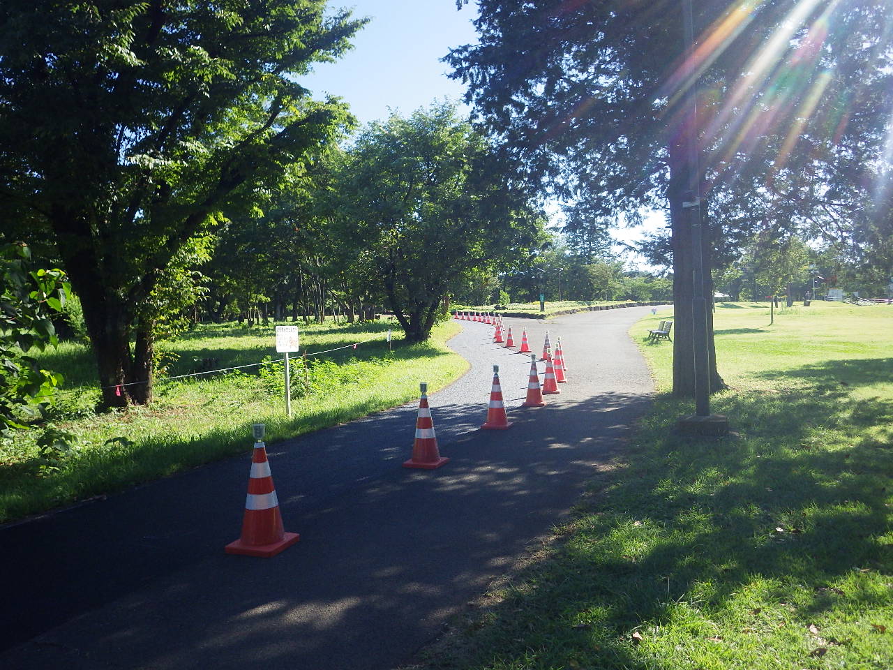 総合交付金（公園）工事（和光樹林公園ジョギングコース改修工その２）　アスファルト舗装